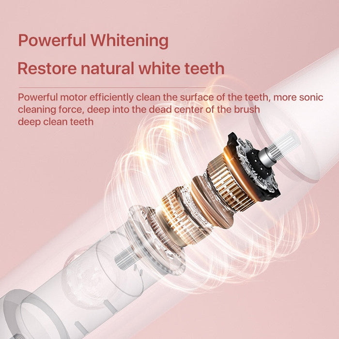 Bomidi T501 Brosse à dents électrique sonique Ultra sonique Vibration haute fréquence Nettoyage en profondeur Brosse à dents blanchissante Rechargeable IPX7 Étanche - Blanc